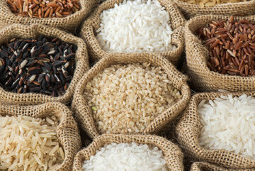 ryż, worki z ryżem (zdj. ilustracyjne)