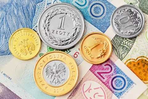 Złoty