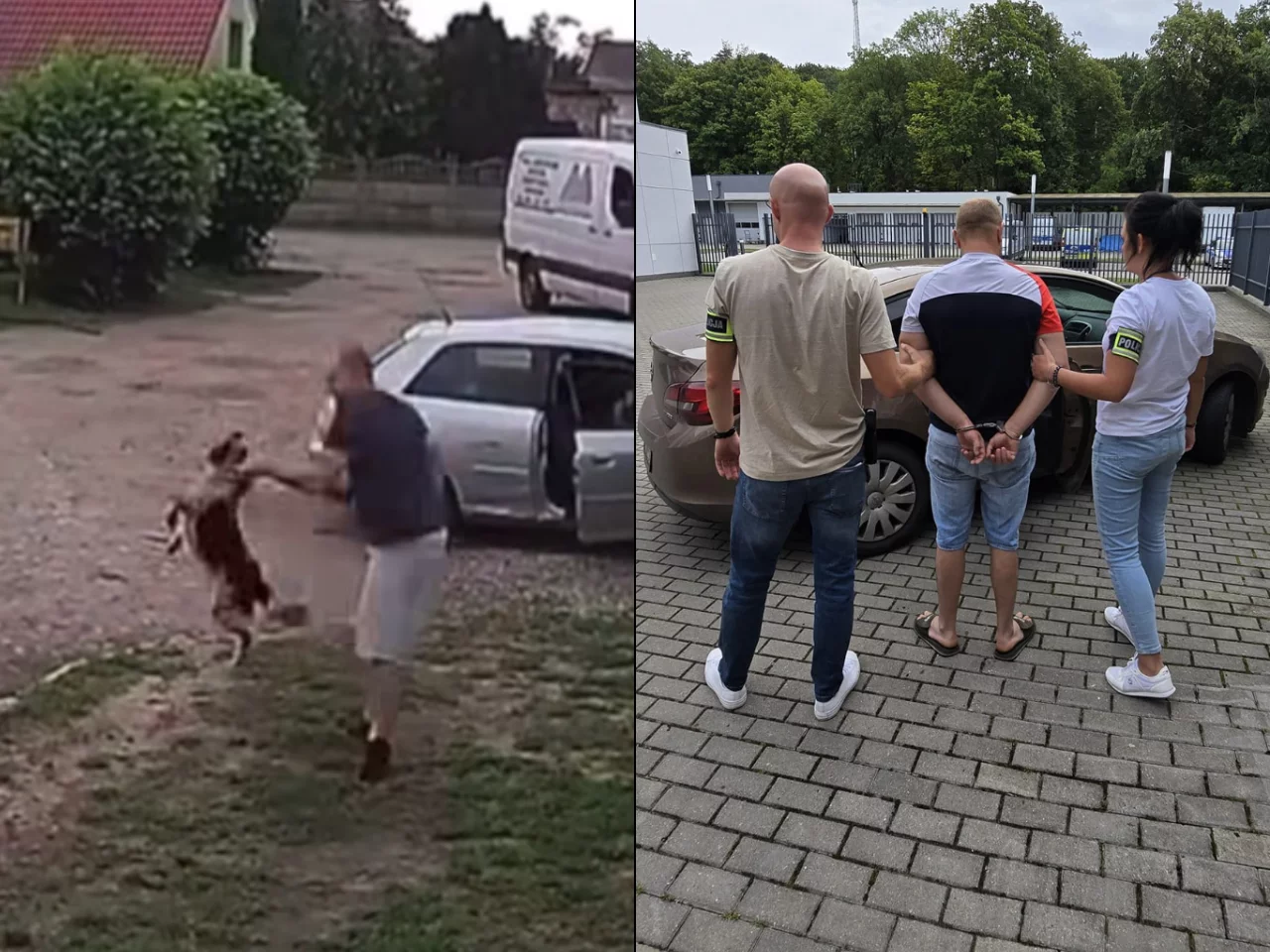 Cisnął psem o bruk, nagrała to kamera. W sieci zawrzało