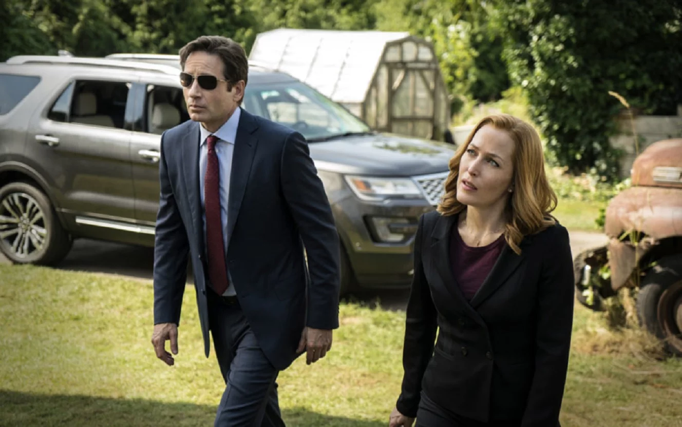 David Duchovny, Gillian Anderson