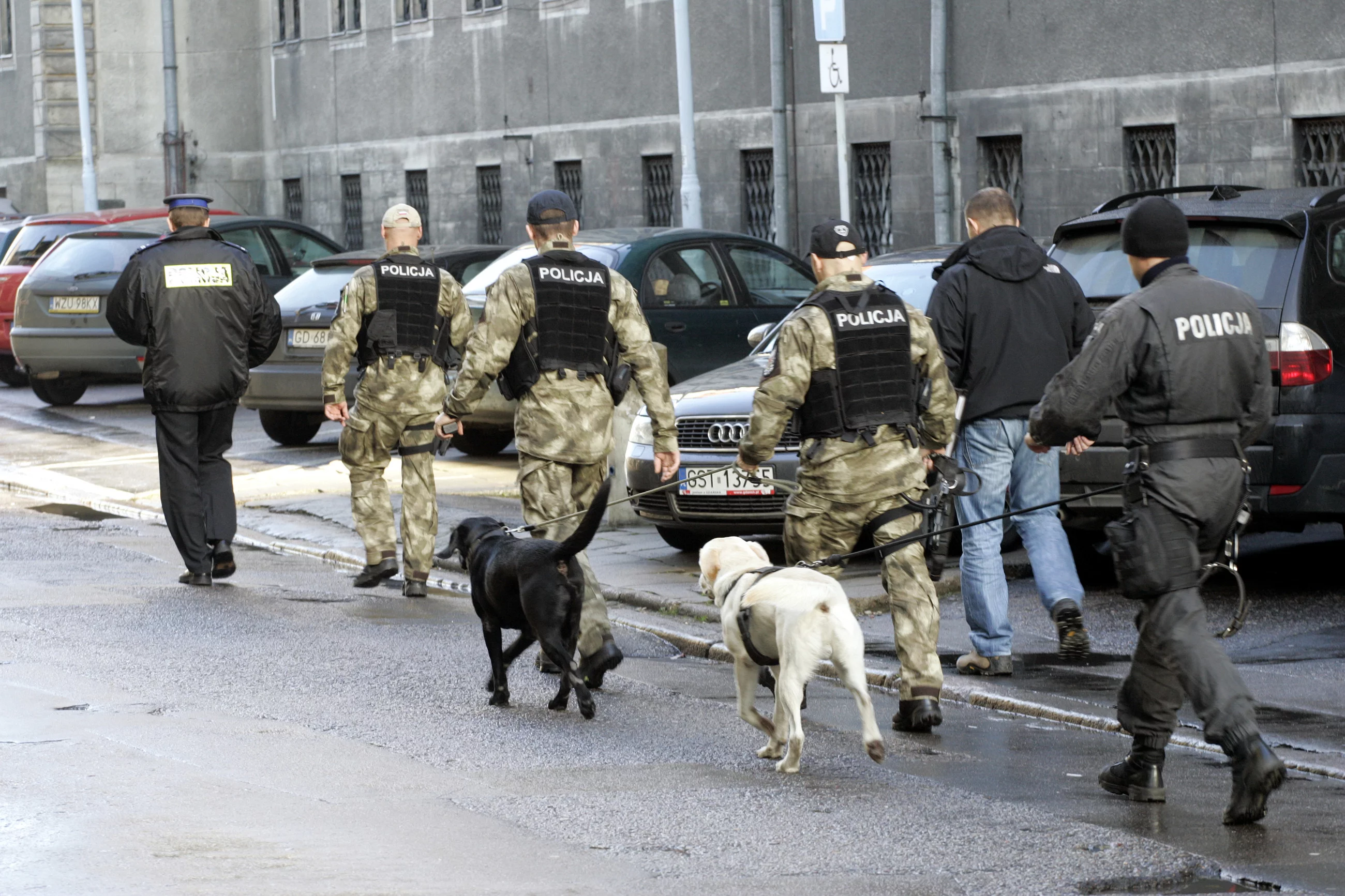Policjanci z psami (zdj. ilustracyjne)