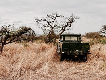 Safari w Afryce/zdjęcie poglądowe