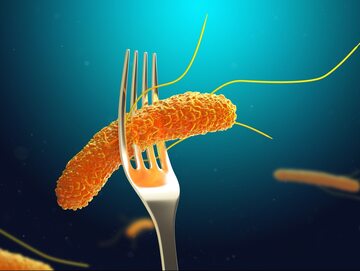 Salmonella, zdjęcie ilustracyjne