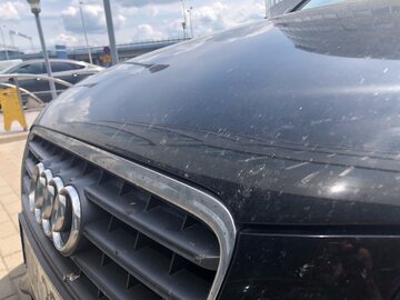 Samochód zabrudzony przez owady