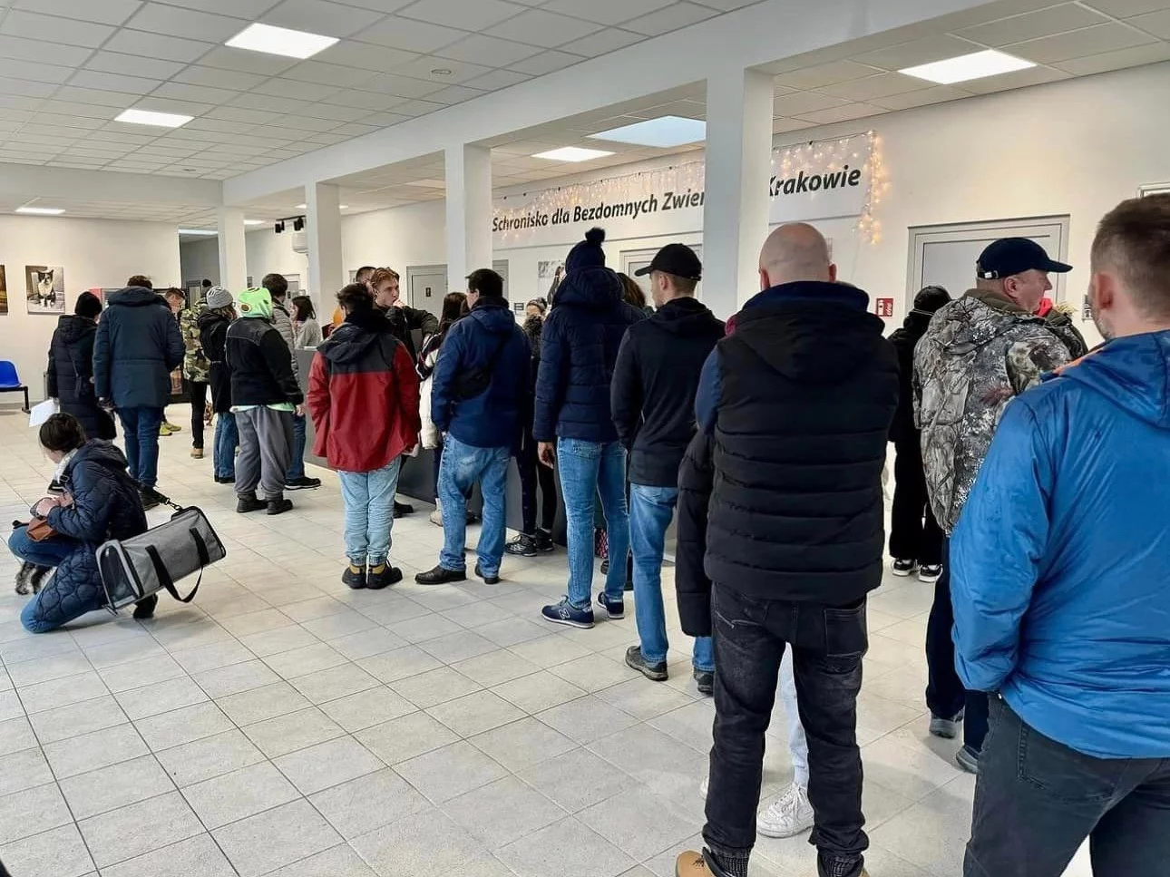 Kolejka po psy w krakowskim schronisku