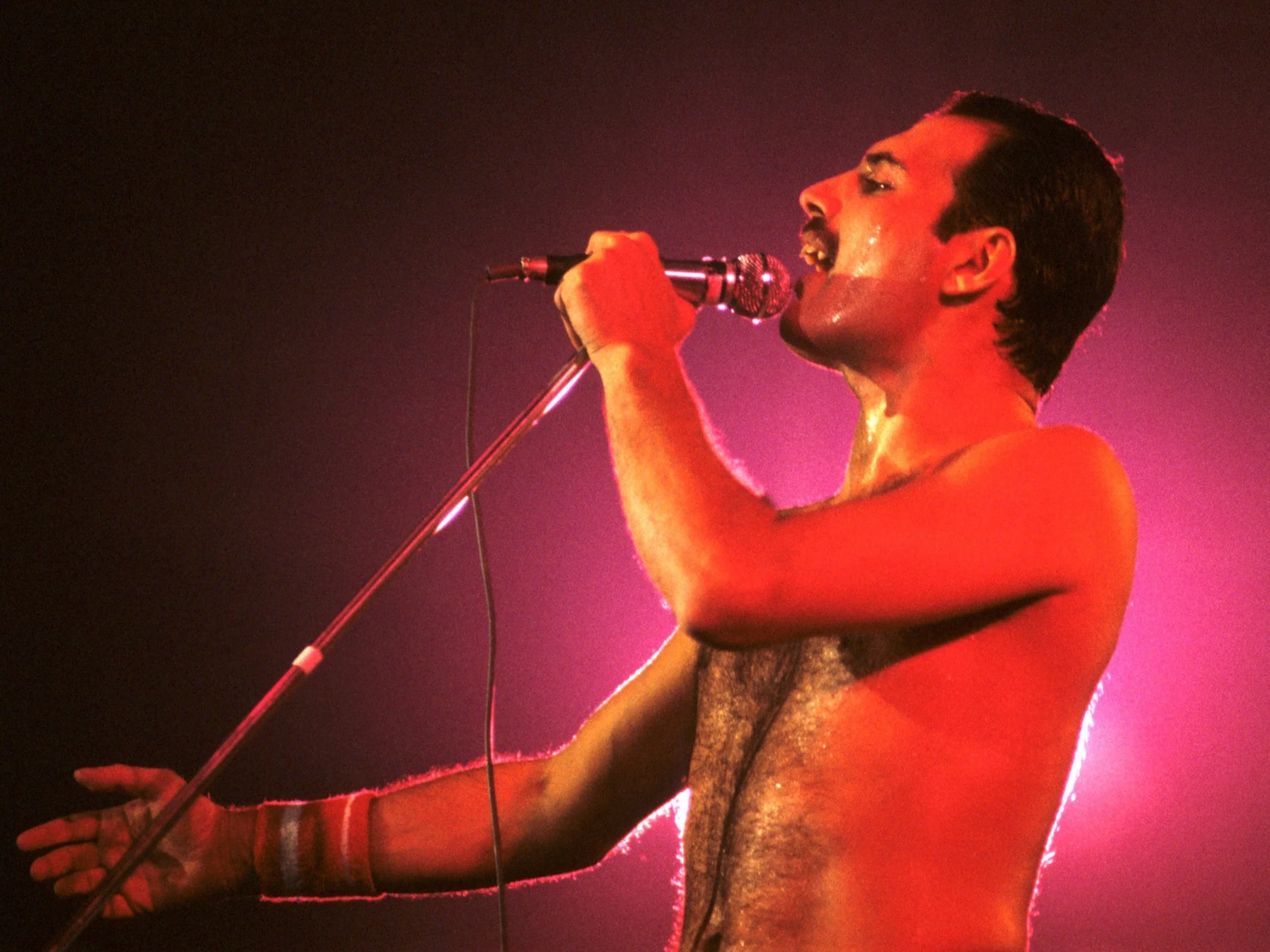 Sekretne życie Freddiego Mercury'ego. Jego córka ujawnia pamiętniki