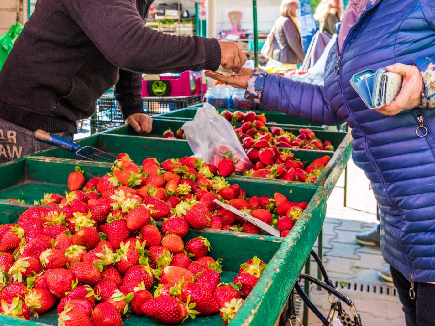 Seniorka kupująca truskawki