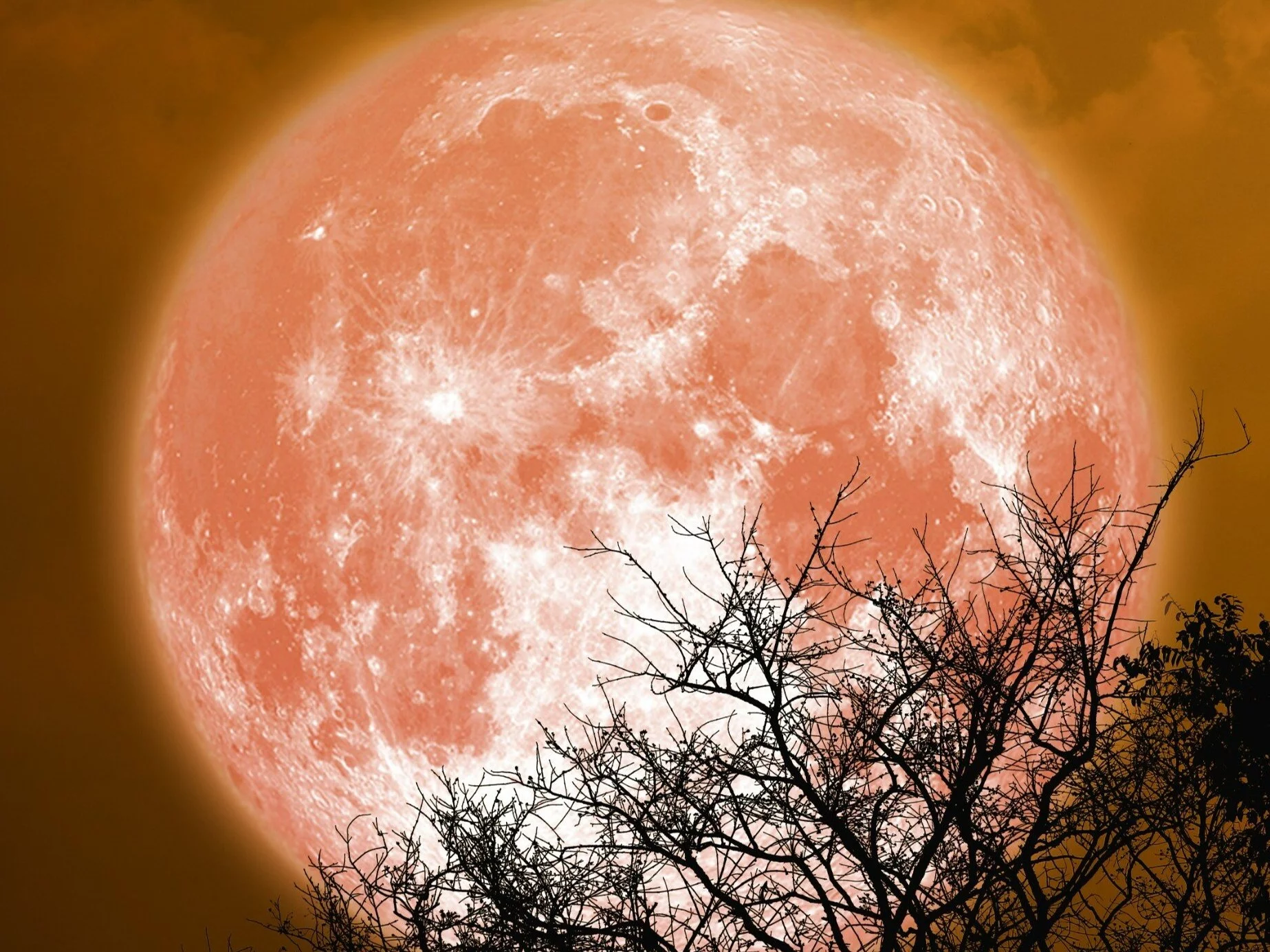 Rzadkie widowisko na polskim niebie. Księżyc będzie jaśniejszy i znacznie większy