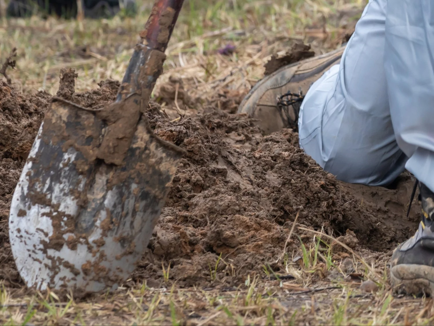 Niezwykłe odkrycie w Jerozolimie. Archeolożka aż krzyknęła z ekscytacji