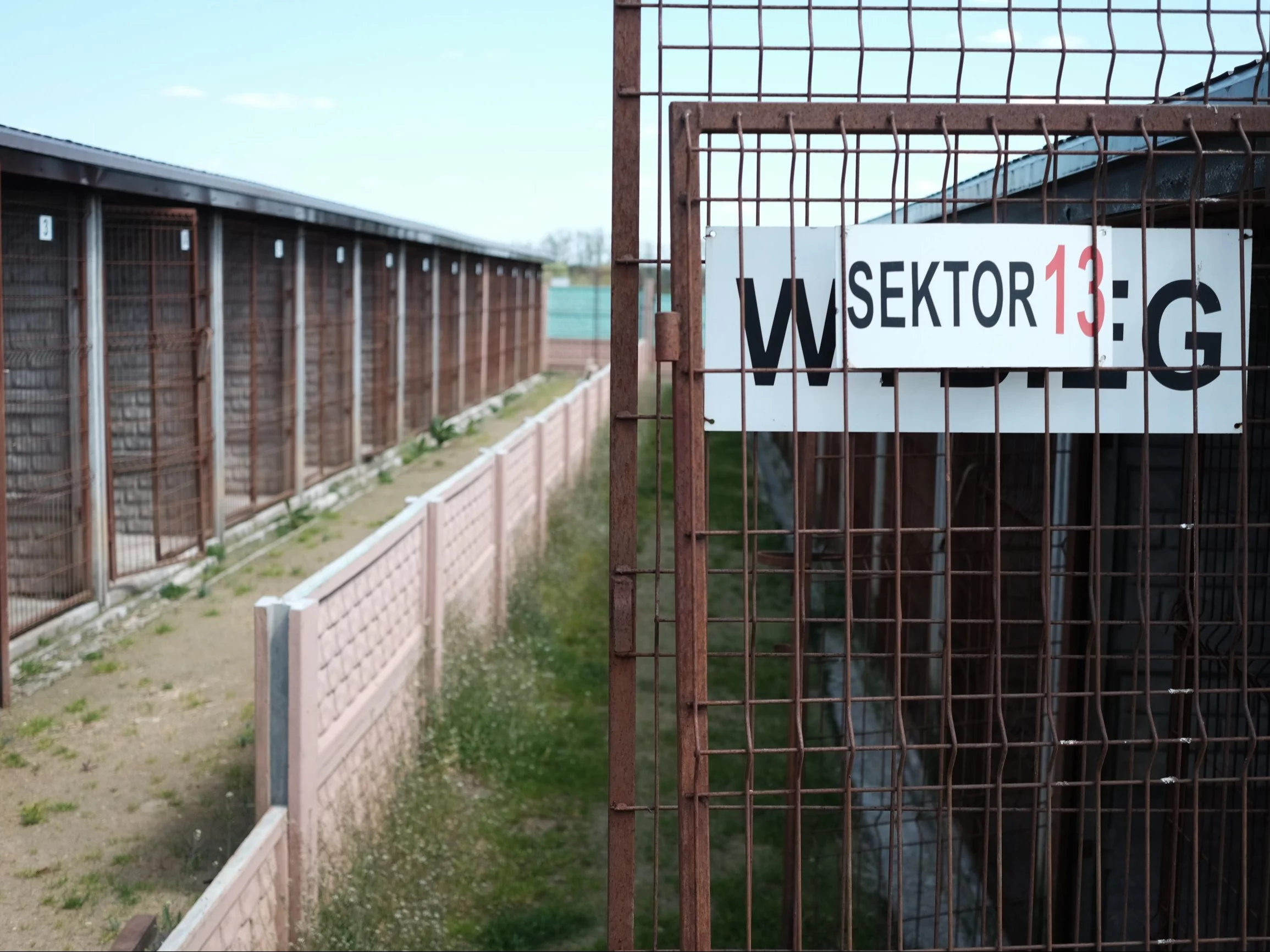 Puste boksy w schronisku w Wojtyszkach