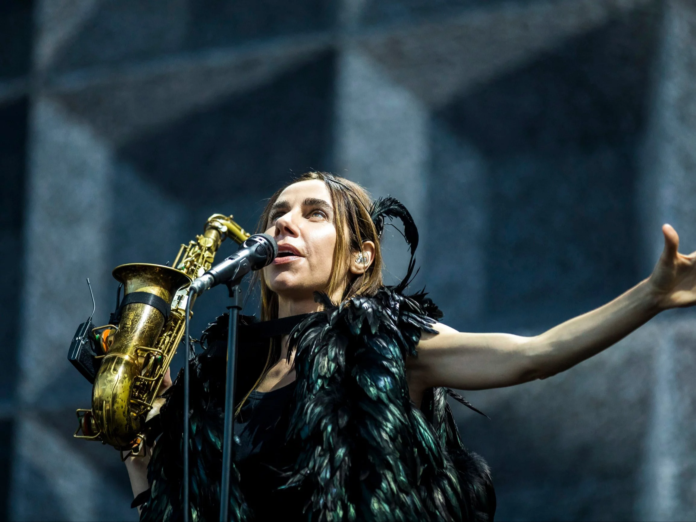 PJ Harvey