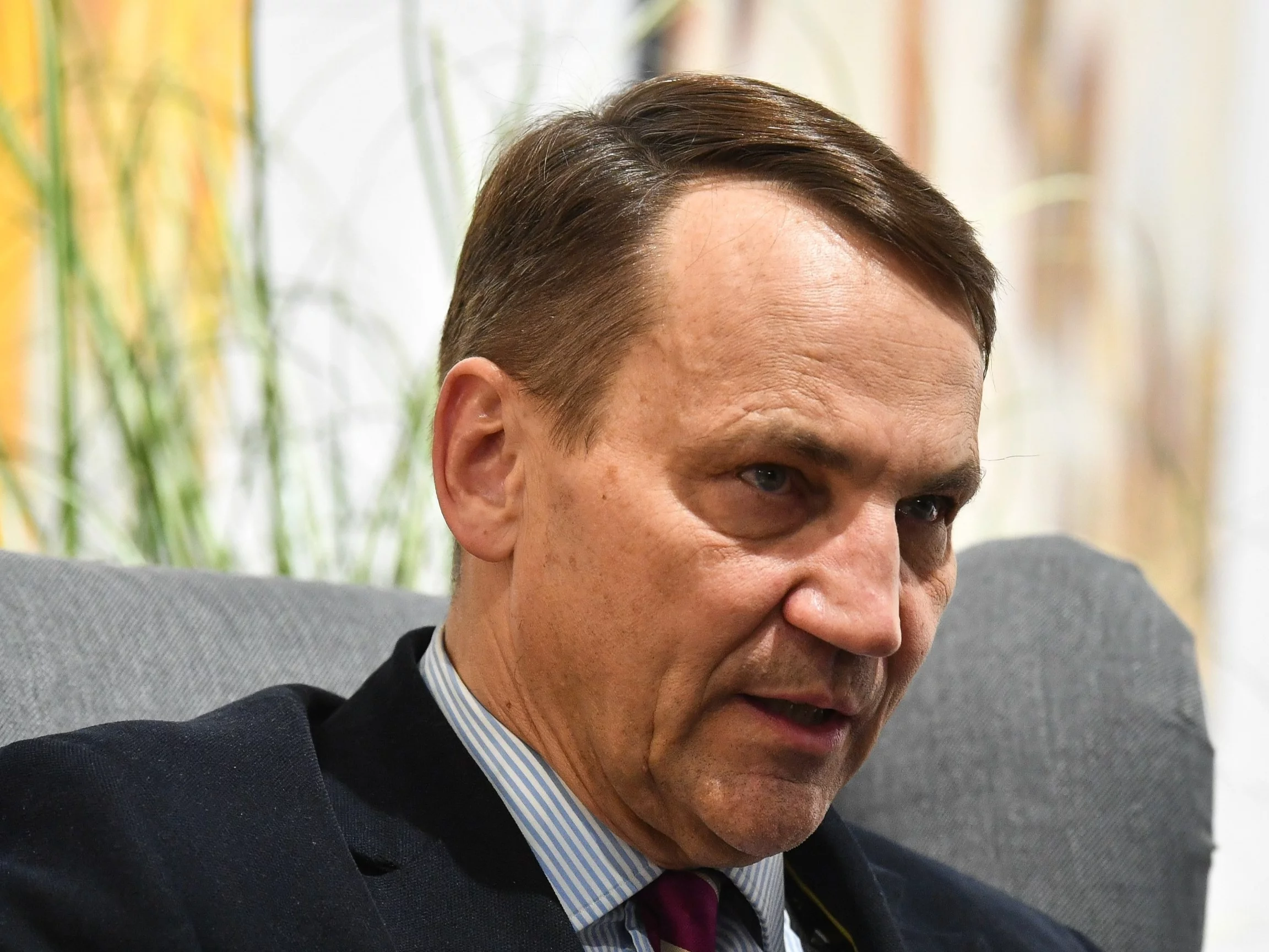 Radosław Sikorski