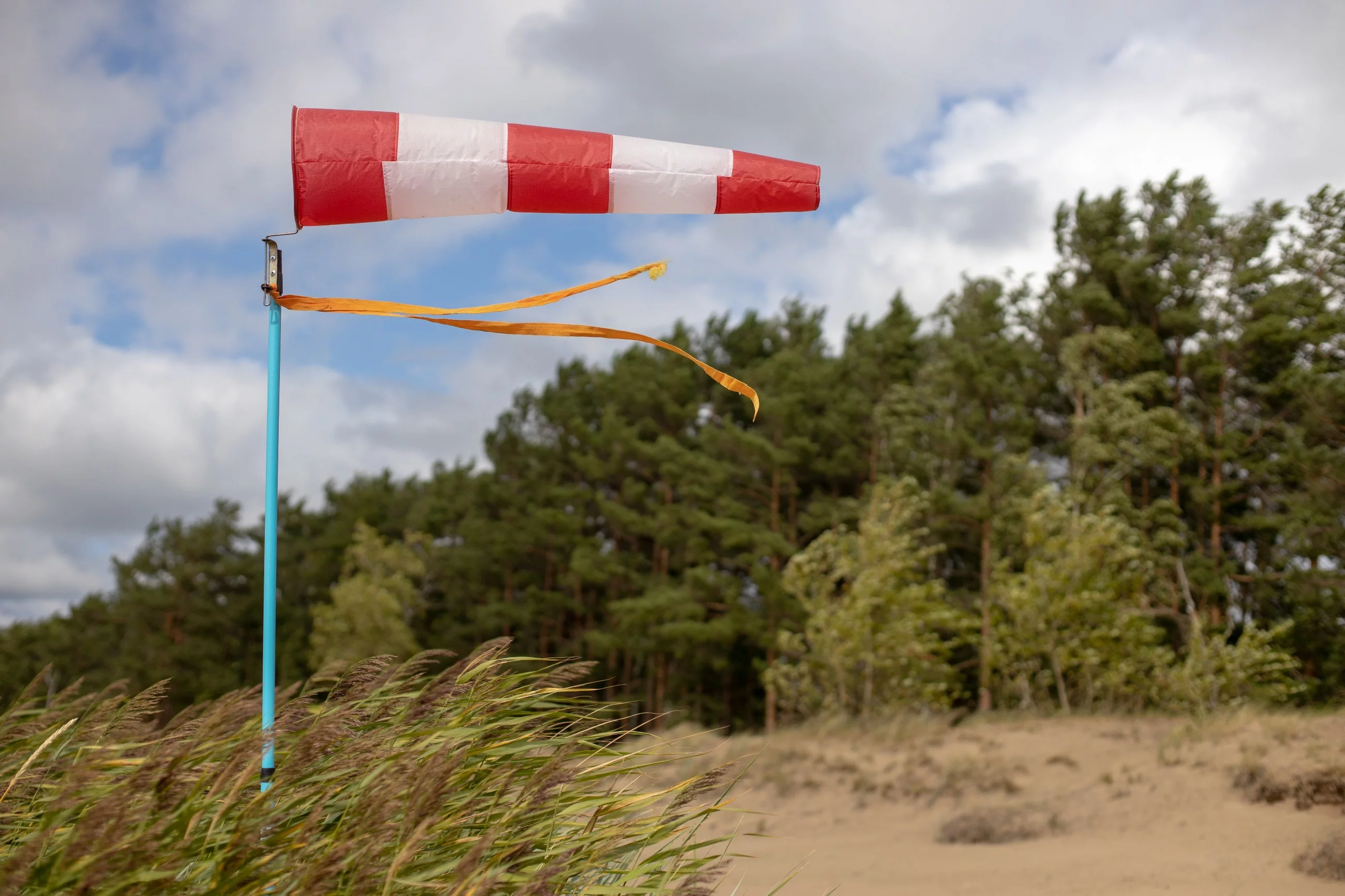 Wskaźnik wiatru na plaży, w tle drzewa