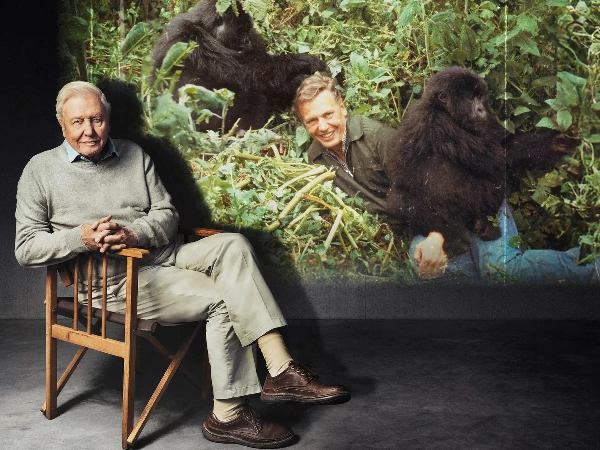 „David Attenborough: początek wielkiej przygody”