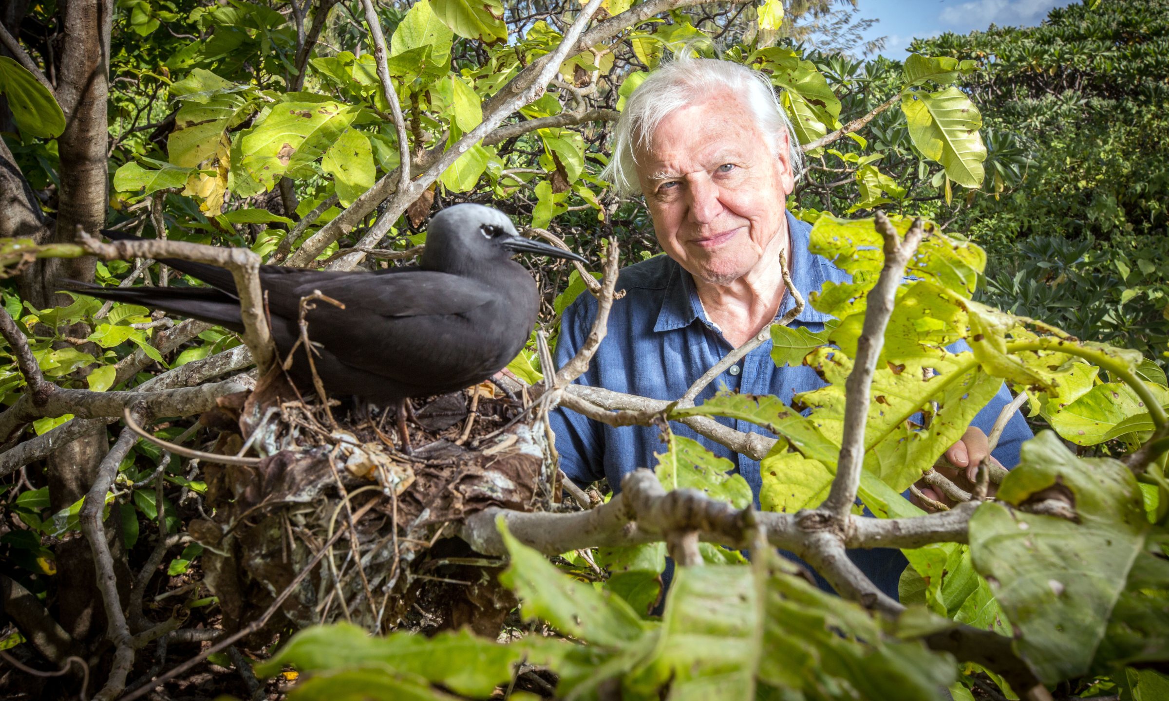 Sir David Frederick Attenborough