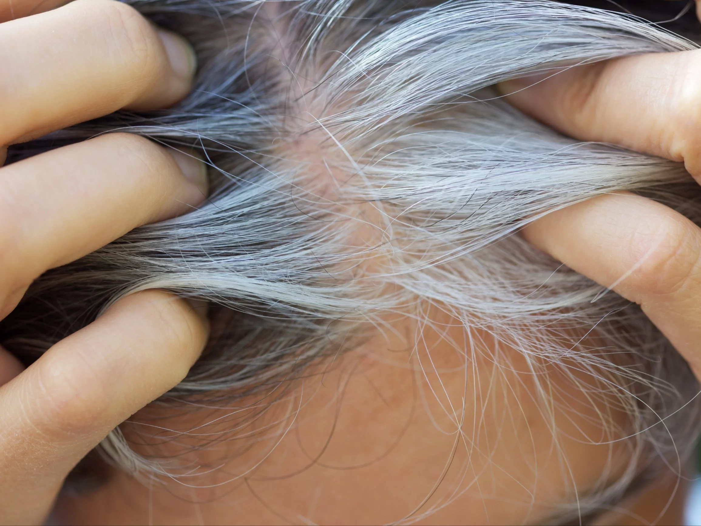 Siwizna to coś więcej niż znak upływu czasu. Mogą uratować życie