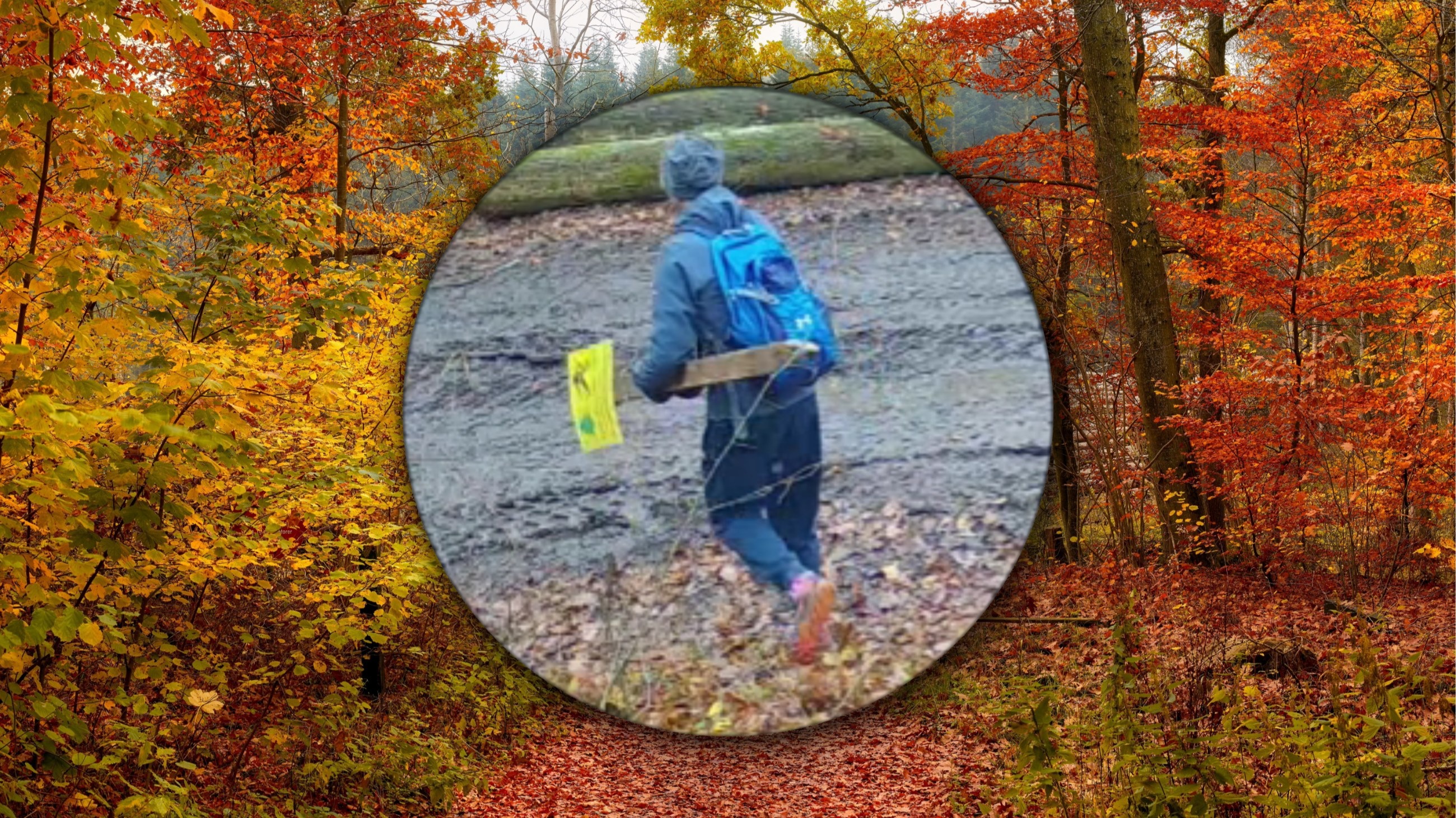 Skandaliczne zachowanie w lesie pod Świdnikiem. Wszystko nagrały kamery
