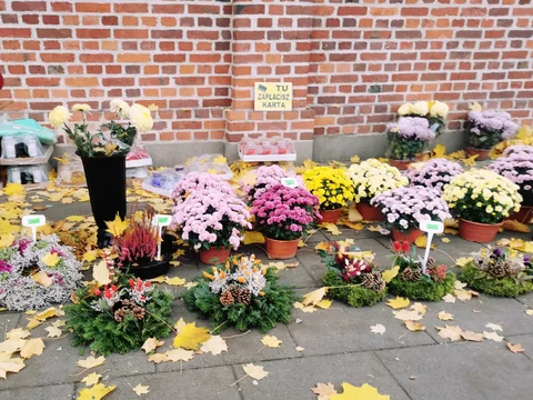Wszystkich Świętych