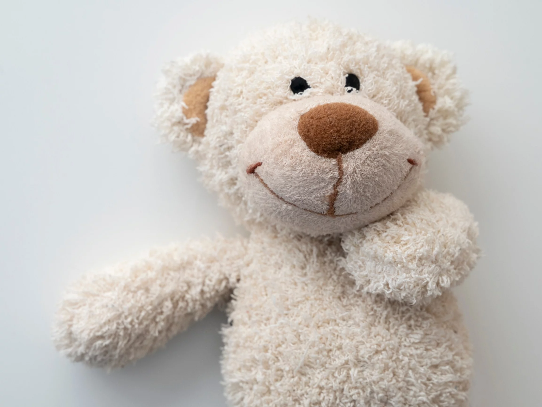 Pluszowy miś – odświeżysz go bez prania