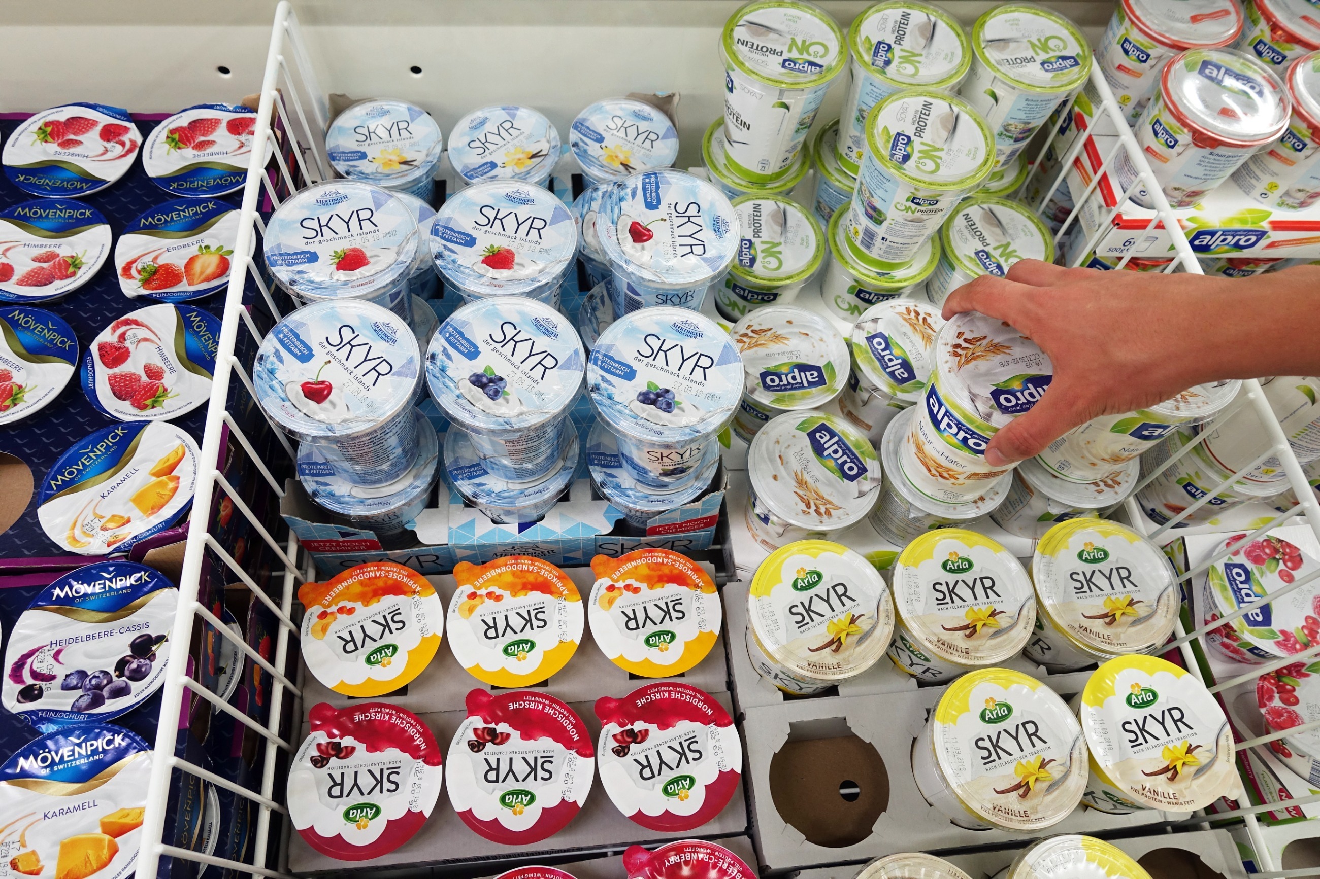 Yogur Skyr con propiedades únicas para la salud – Zdrowie Wprost