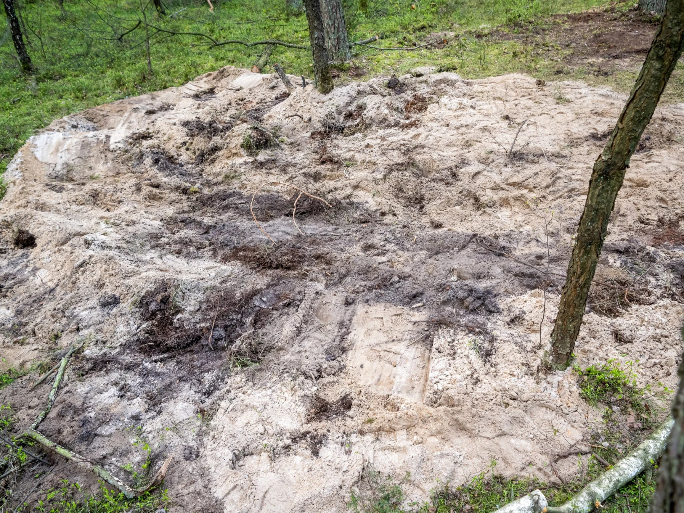 Miejsce znalezienia rosyjskiej rakiety w lesie pod Bydgoszczą