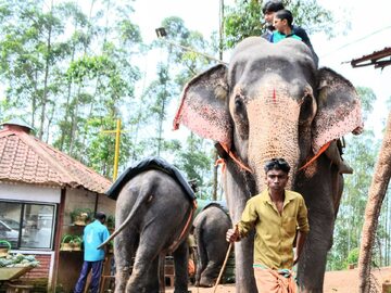 Słonie w turystyce