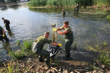 Słubice. Polscy żołnierze usuwają śnięte ryby z Odry