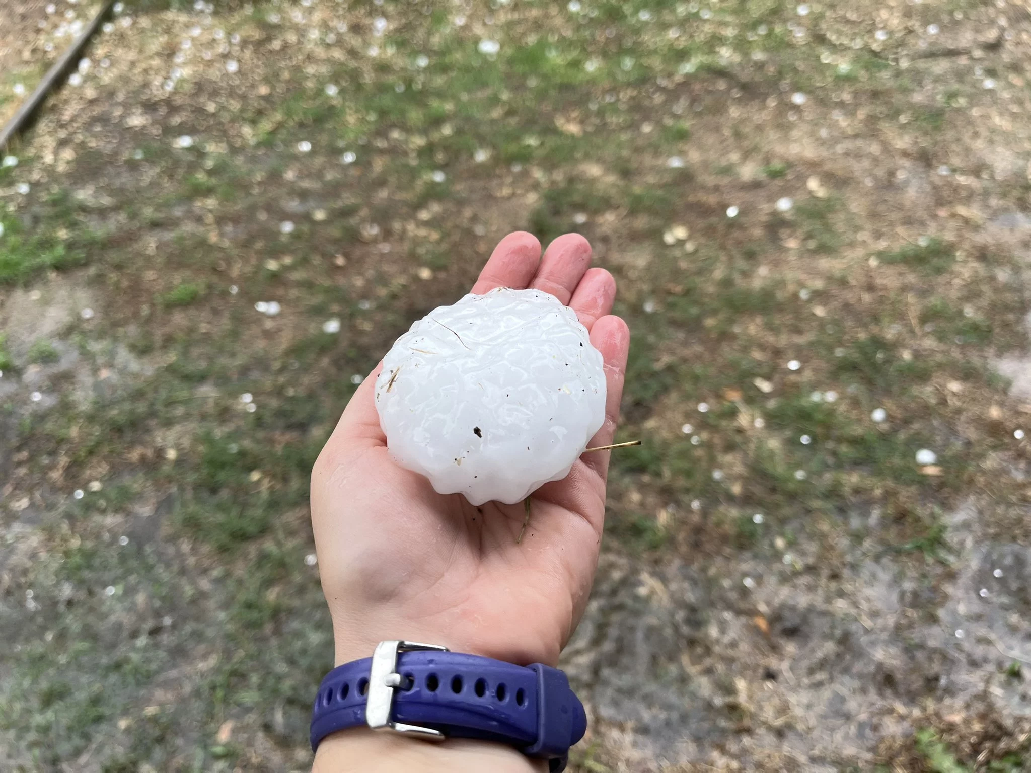 Kula gradu z La Bisbal d'Emporda