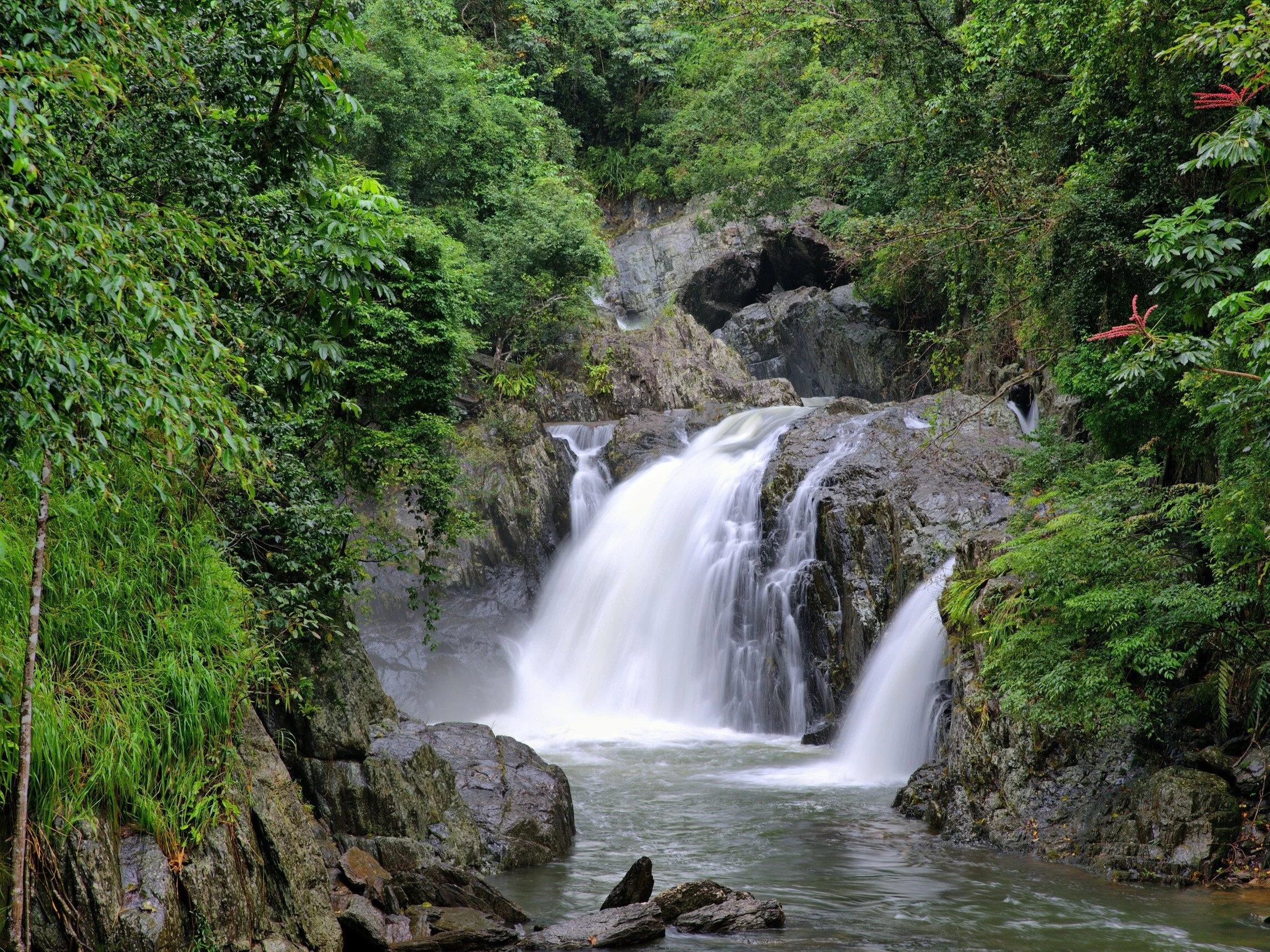Crystal Cascades w Australii