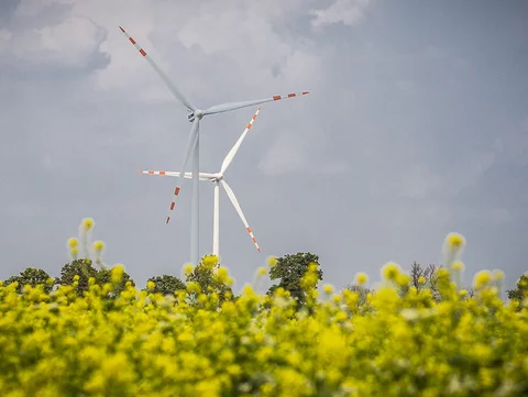 Farma wiatrowa TAURONA