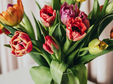 Sposoby, by tulipany stały długo w wazonie