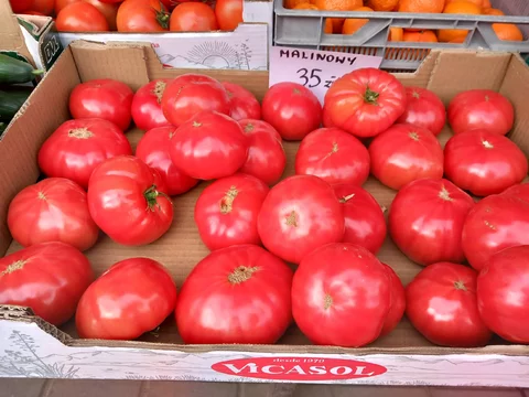 Ceny pomidorów w marcu