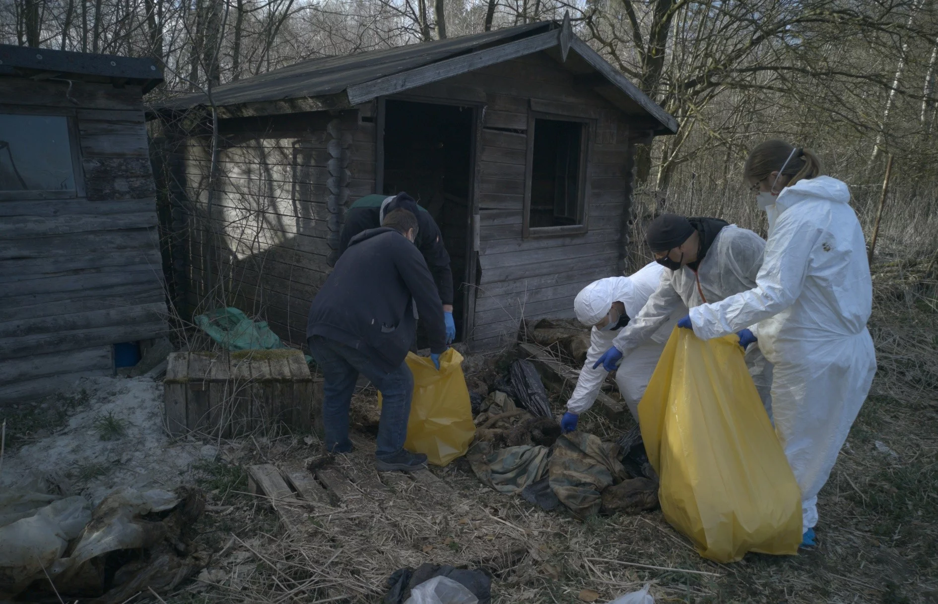 Kontrola OTOZ Animals w hodowli psów w Starej Hucie