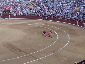 Starcie matadora z bykiem podczas korridy (zdjęcie ilustracyjne)