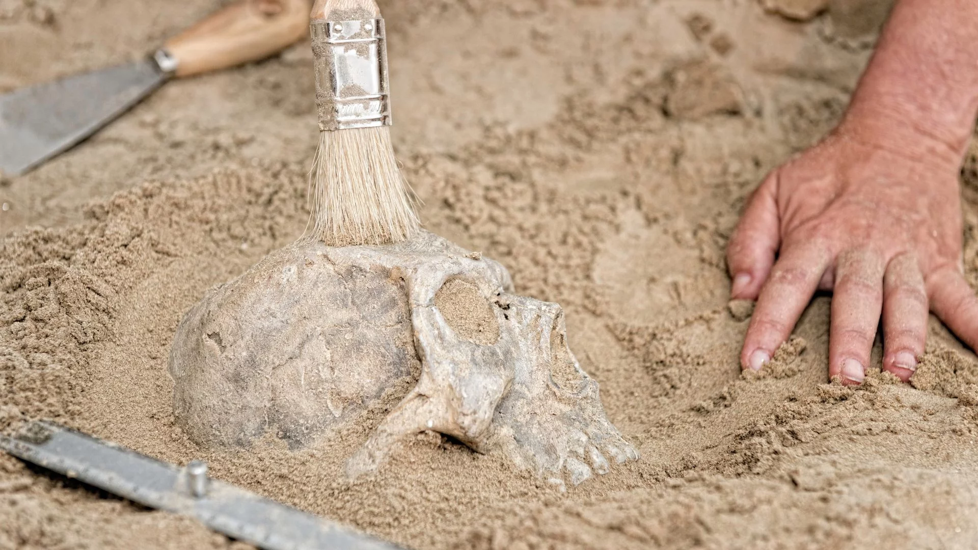 Odkryto tajemniczą cywilizację sprzed 8500 lat. Nikt o nich nie wiedział