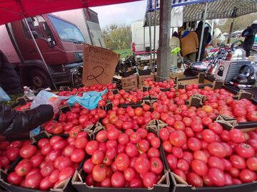 Stoisko z pomidorami na bazarze Olimpia
