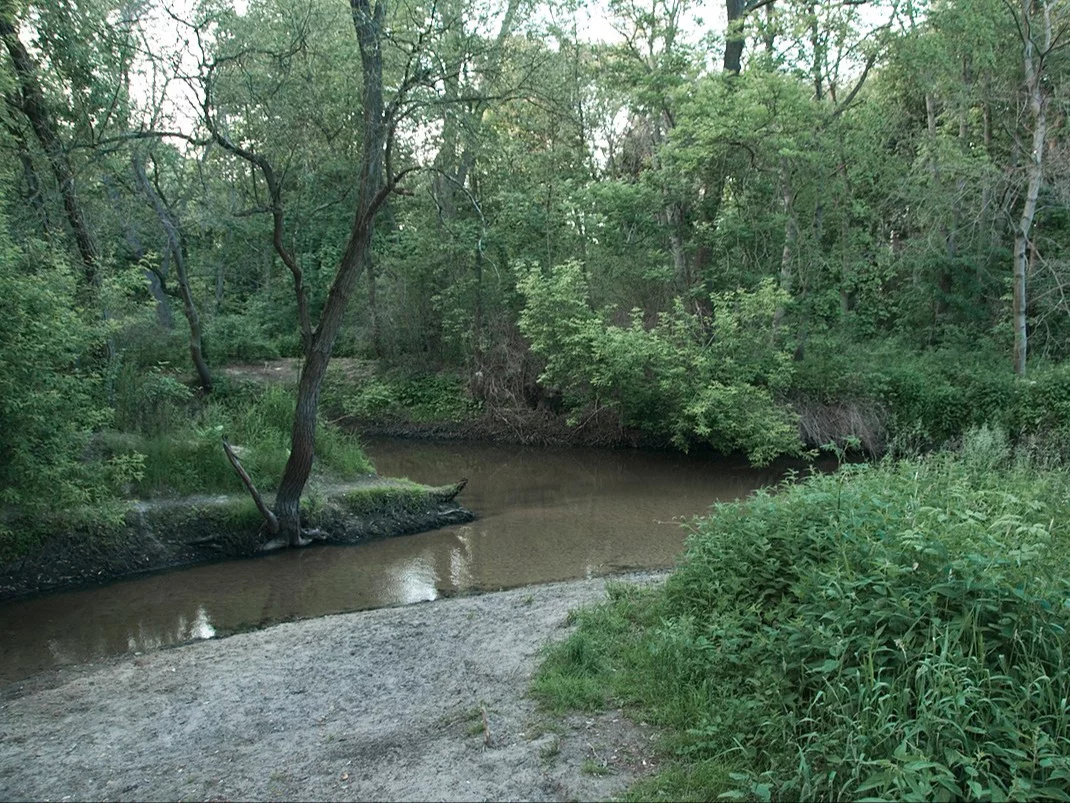 Ujście rzeczki Zielona do Jeziorki w Żabieńcu, zdjęcie ilustracyjne