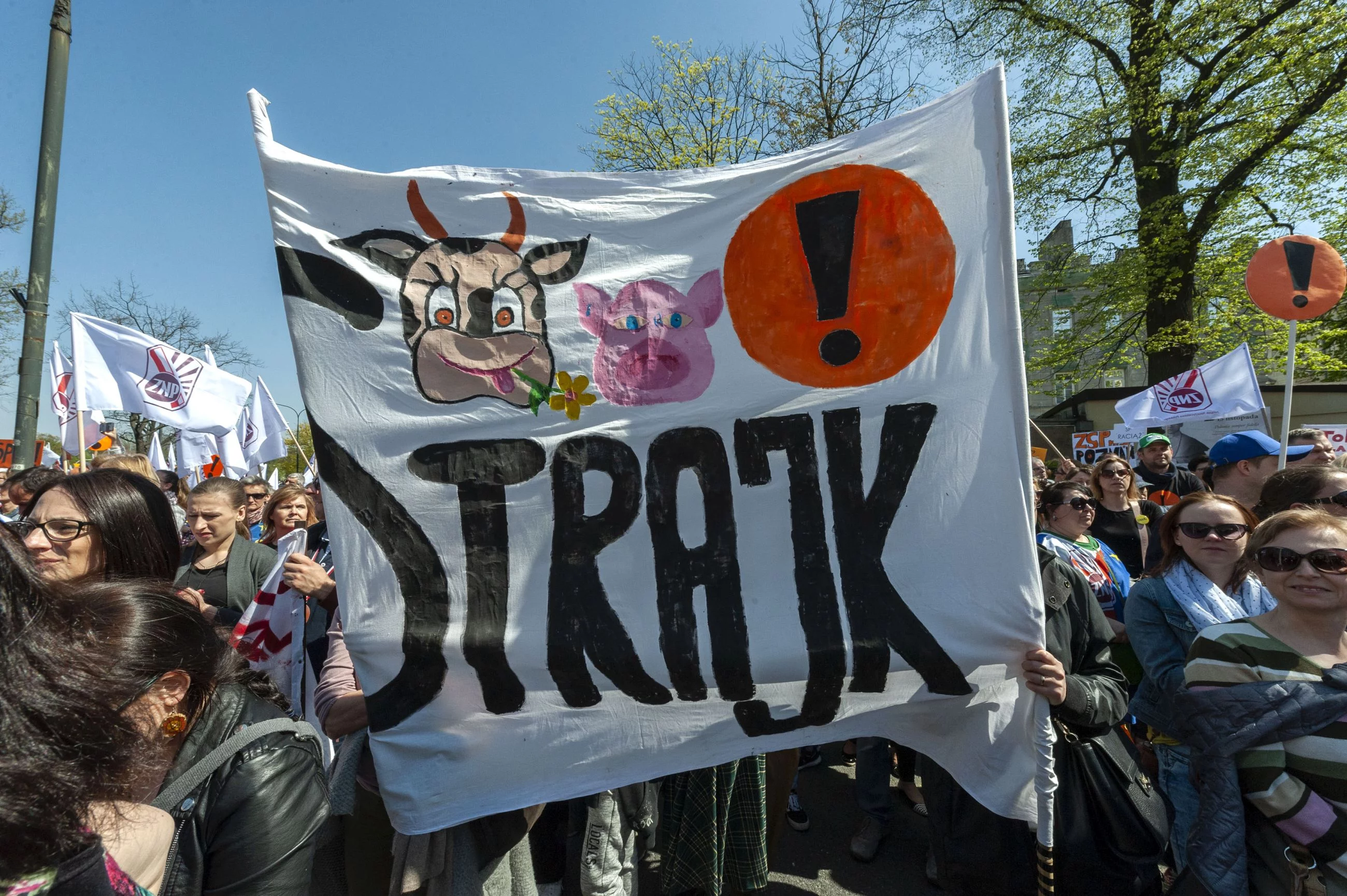 Protest nauczycieli w Warszawie