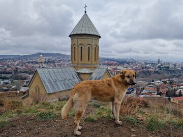 Świątynia Metechi w Tbilisi
