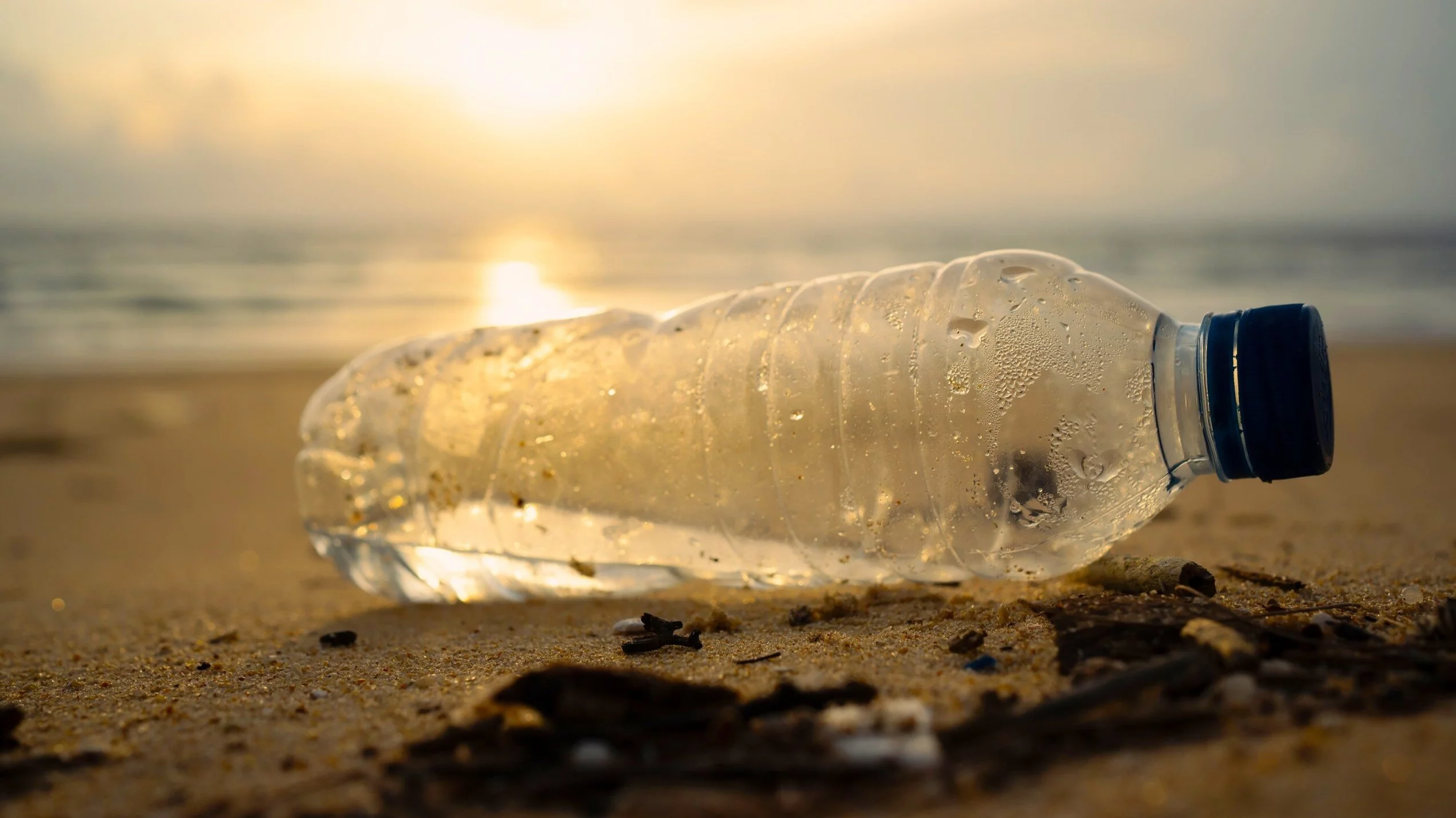 Plastikowe śmieci są wszędzie