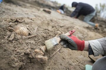 Szczątki kilkudziesięciu osób odkryto na Cytadeli Warszawskiej