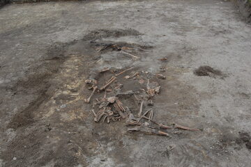 Szczątki ofiar rzezi wołyńskiej ekshumowane w Woli Ostrowieckiej