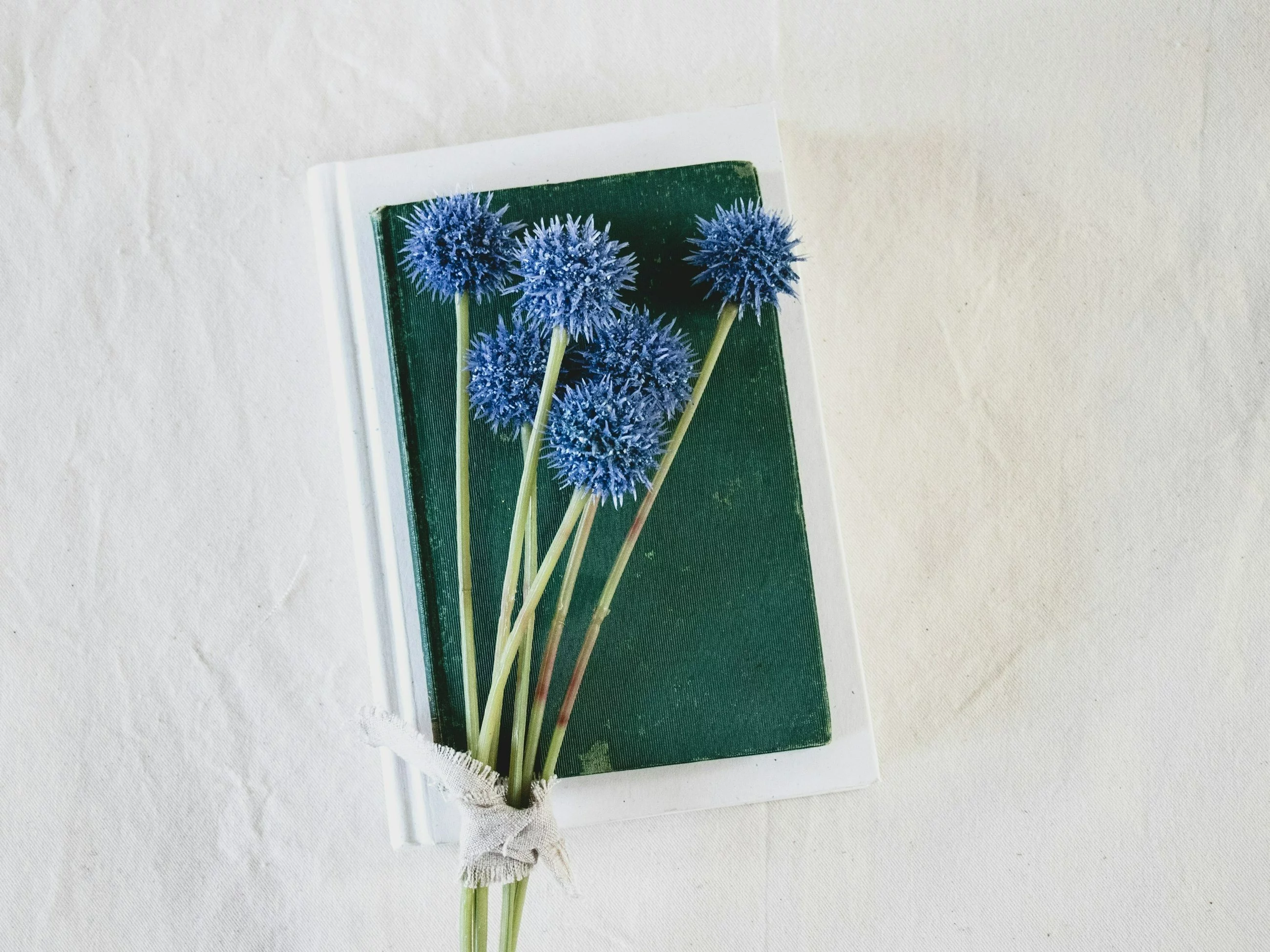 Quiz ortograficzny, zdjęcie ilustracyjne