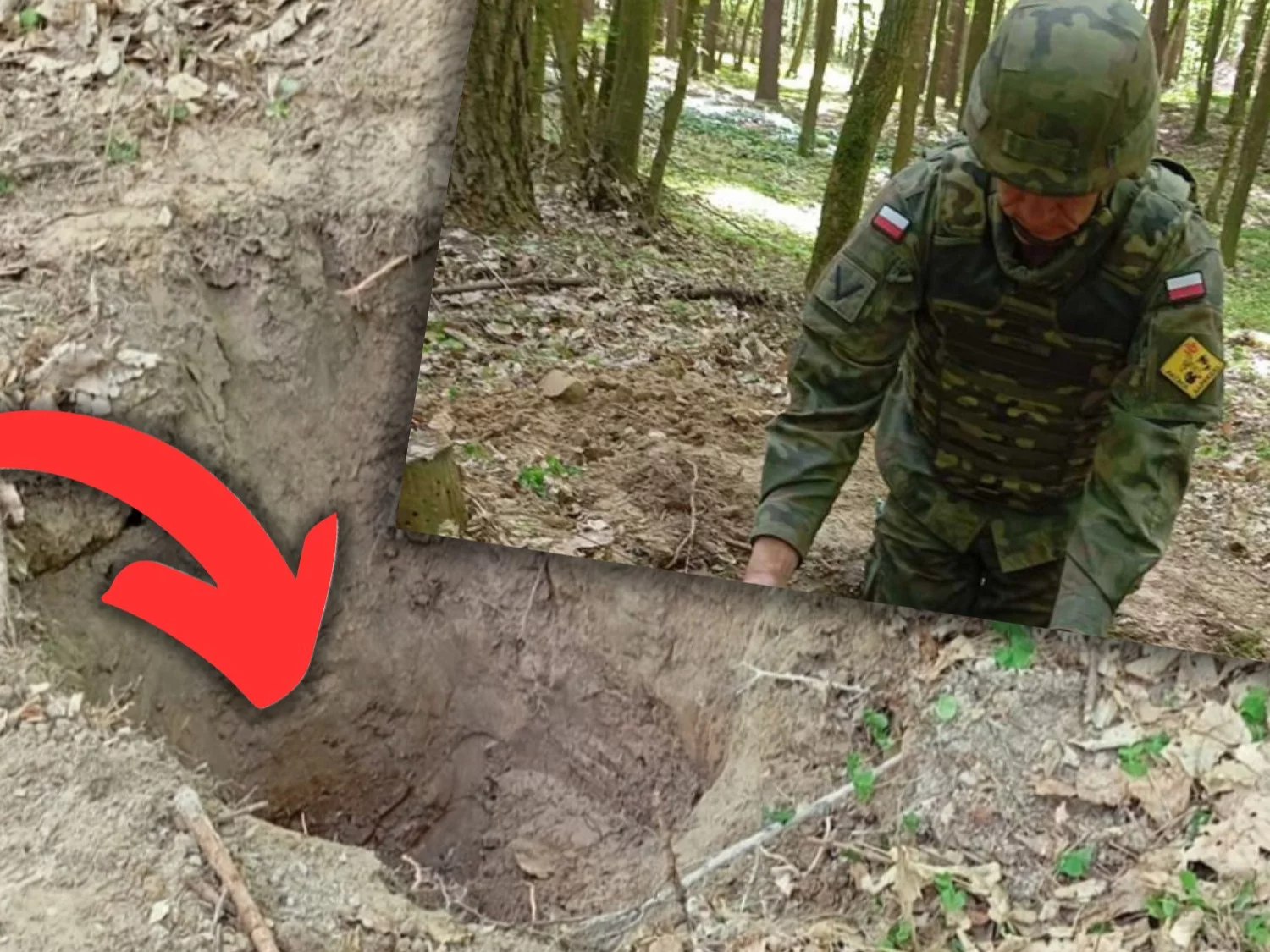 Szukał „skarbu”, dokonał w lesie wstrząsającego odkrycia. Wezwano żołnierzy