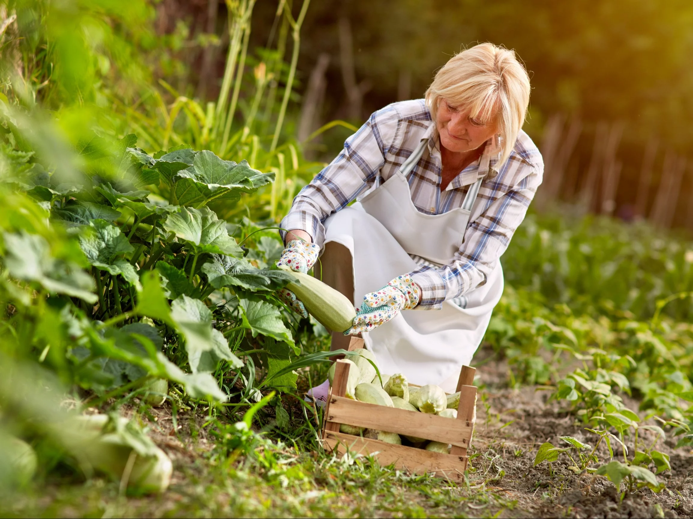 Ta grupa zyska prawo do wcześniejszej emerytury? Jest apel
