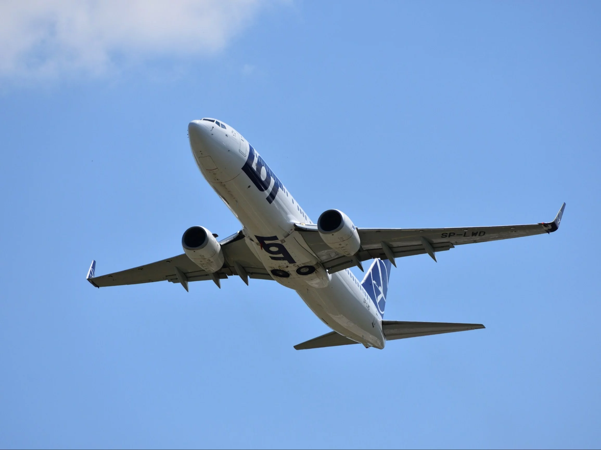 Takiego powitania pasażerowie się nie spodziewali. „Od razu bym się mniej bała lotu”