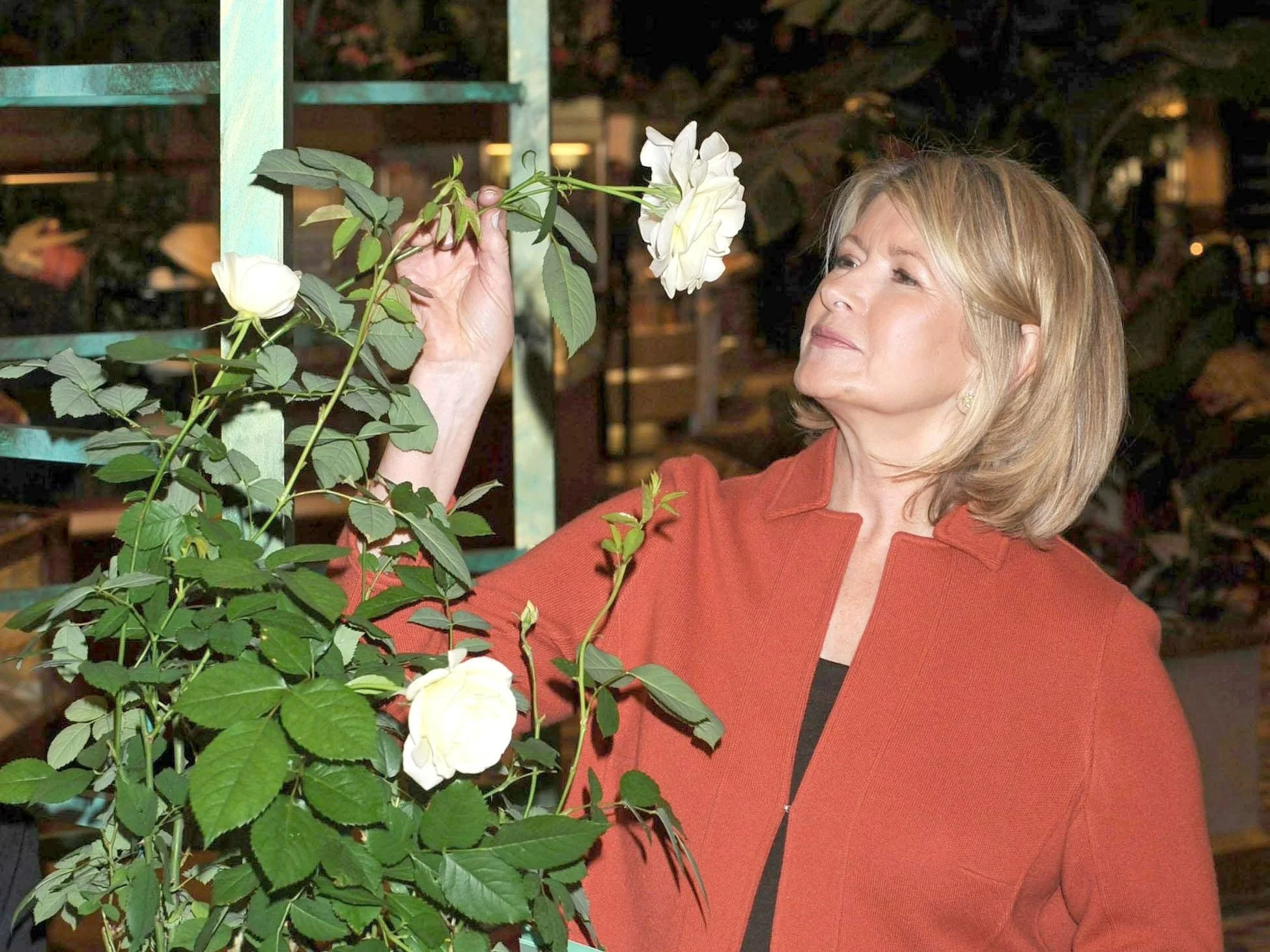 Martha Stewart