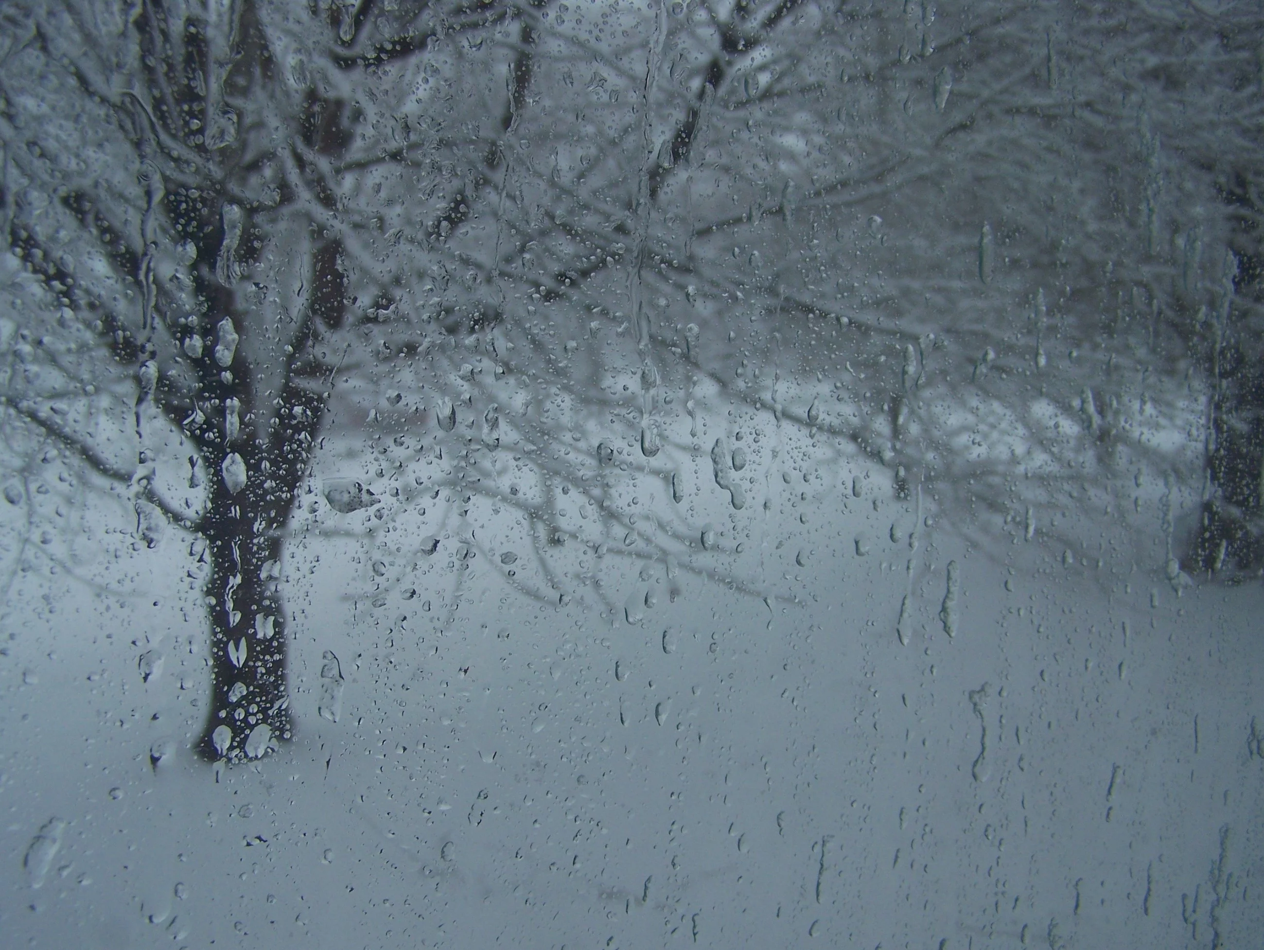 Tak wir polarny wpłynie na zimę w Polsce. Zaskakująca prognoza pogody