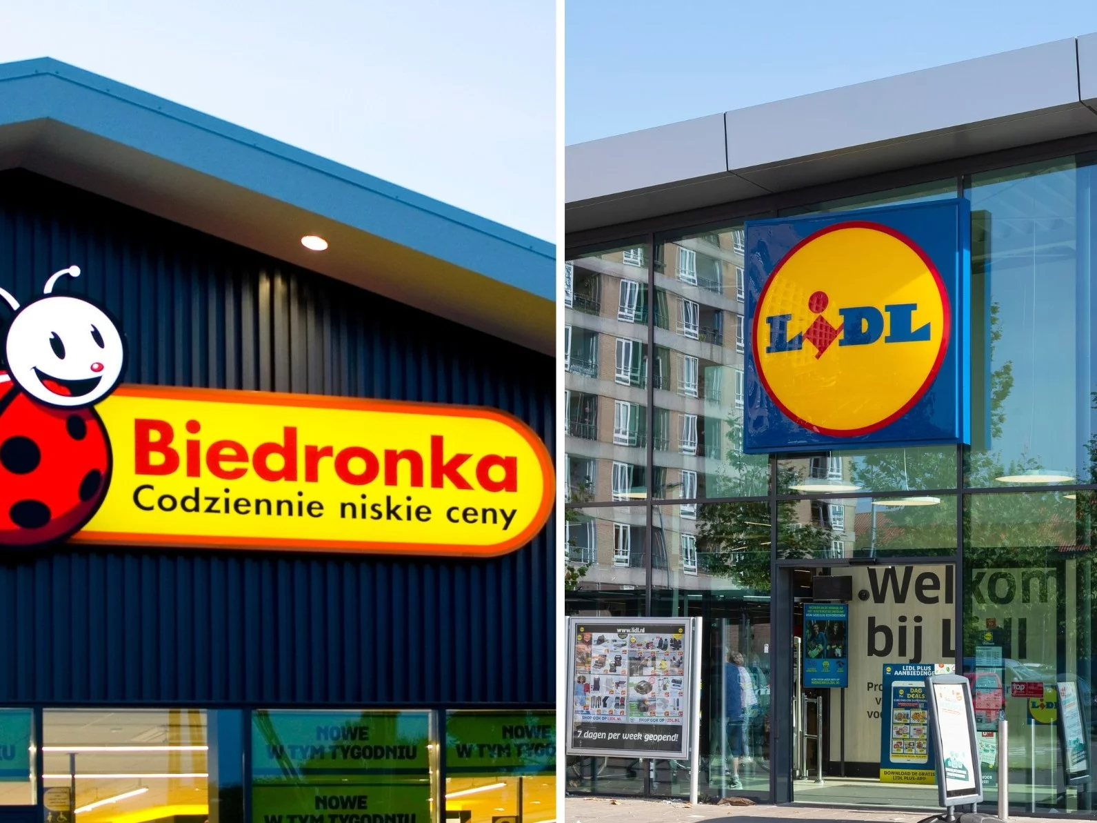 Kto zyskuje, a kto traci w tej cenowej rywalizacji dyskontów?