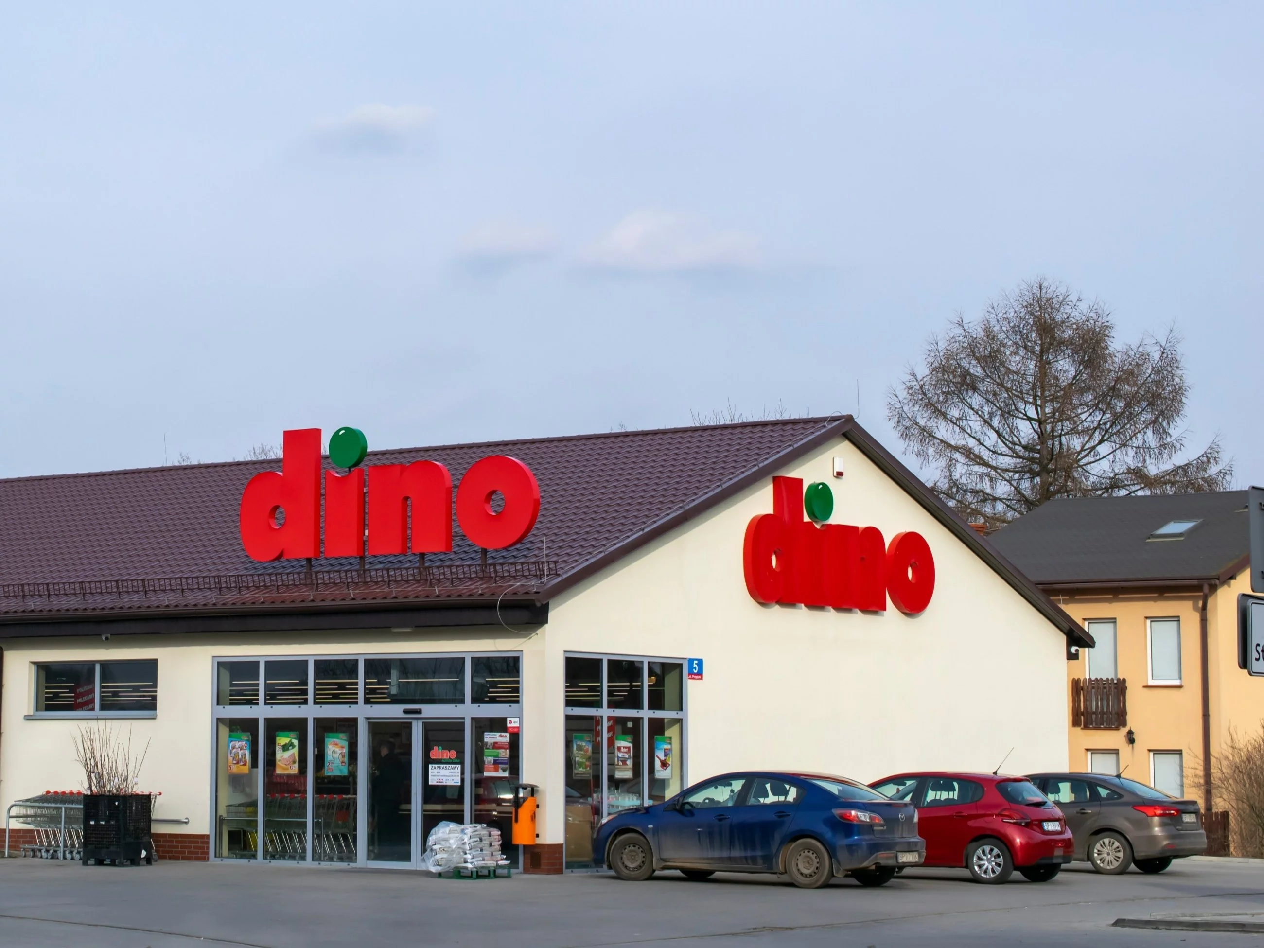 Dino